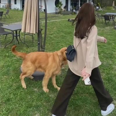 邮购新娘